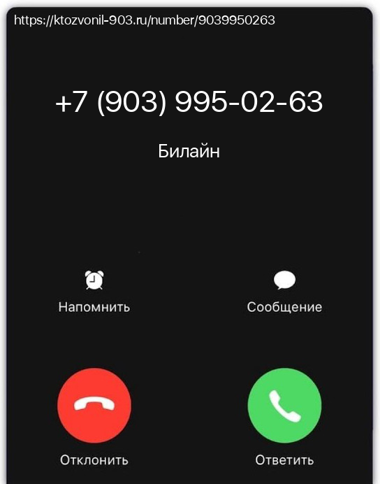 Кто звонил +79039950263